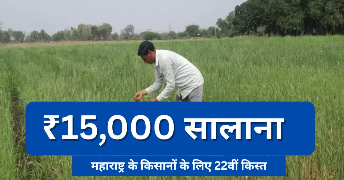 ₹15,000 सालाना: महाराष्ट्र के किसानों के लिए 22वीं किस्त और नमो शेतकरी योजना की बड़ी खुशखबरी, बैंक खाते में इस दिन आएंगे ₹4000